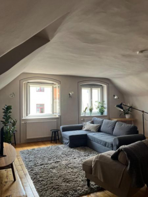 Cozy Loft